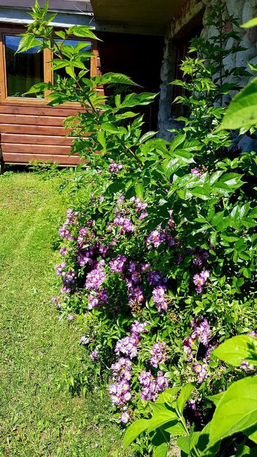 Antonowka Villa Trybsz Luaran gambar