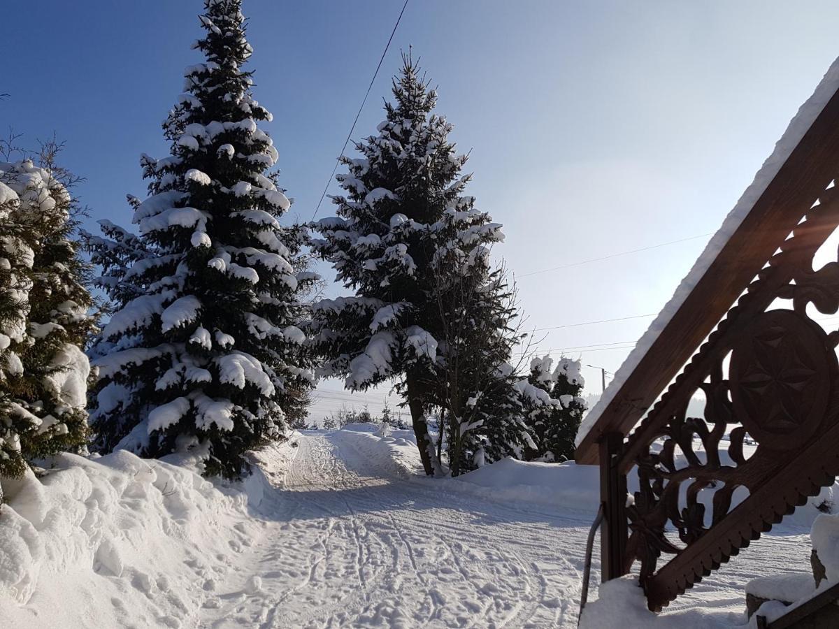 Antonowka Villa Trybsz Luaran gambar